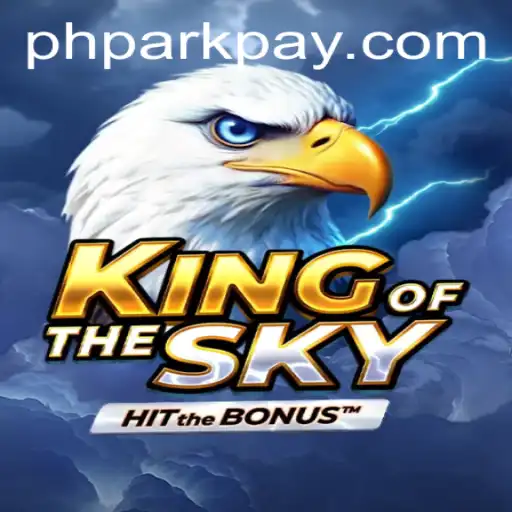 Soaring Through the Skies: Discover KingOfTheSky